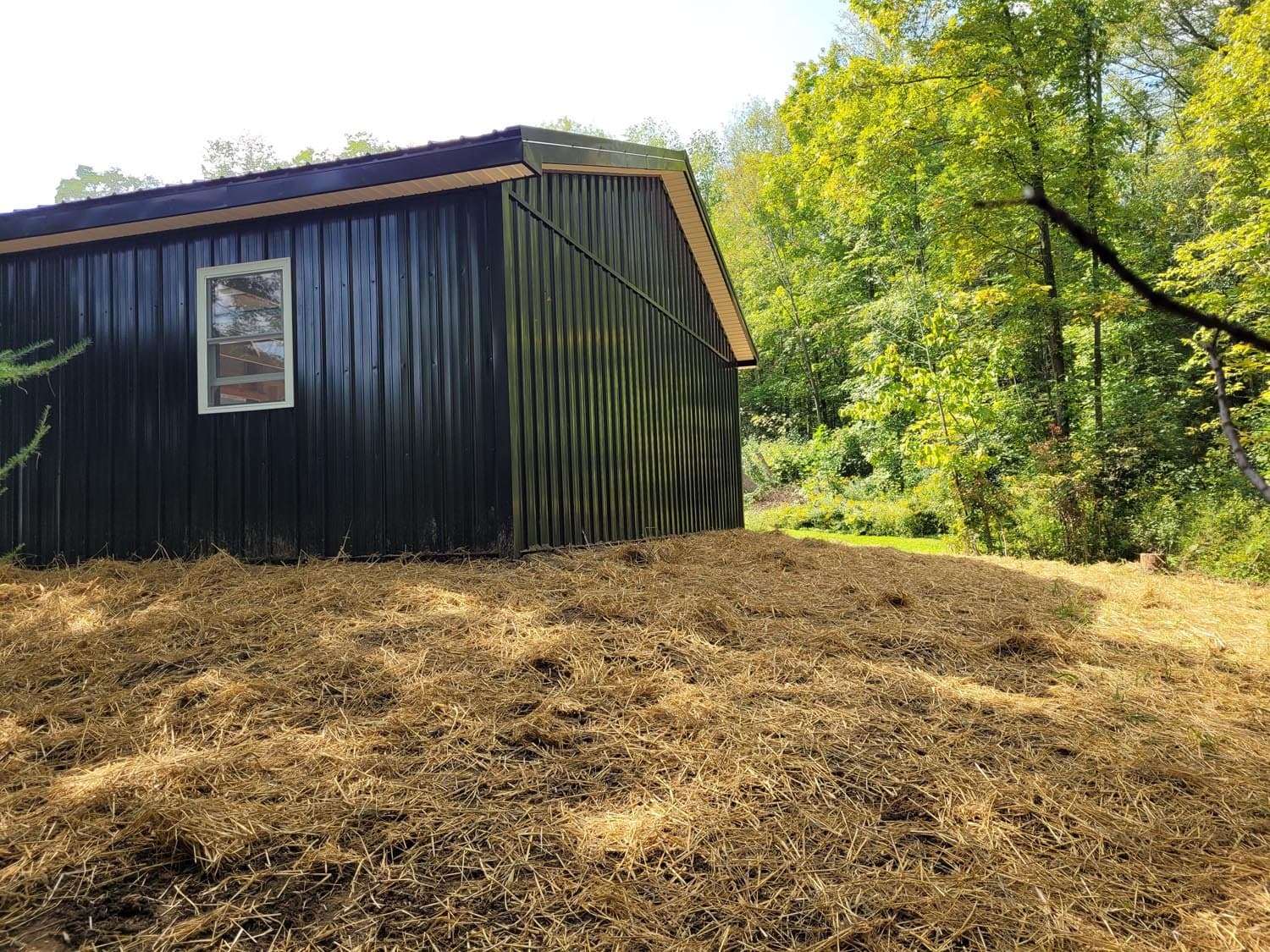 Black corrugated metal pole barn with window surrounded by trees and straw ground cover