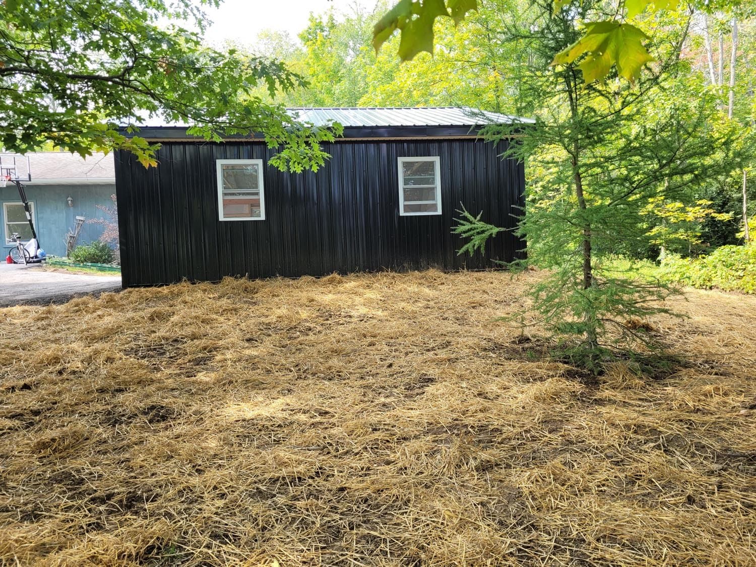 Black pole barn with metal roof surrounded by straw mulch and trees