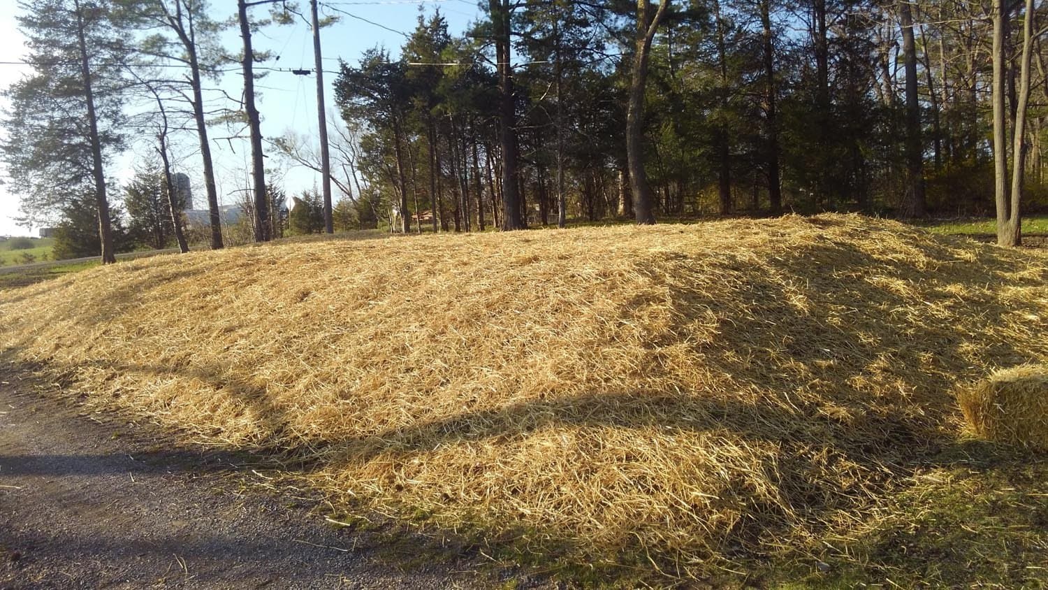 Cleared and leveled land with straw mulch prepared for septic system installation
